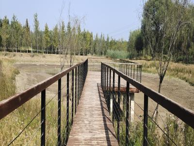 马驹桥湿地公园