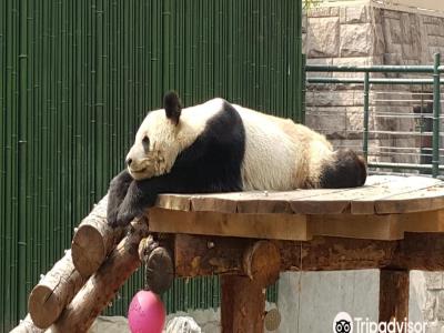 北京濒危动物中心