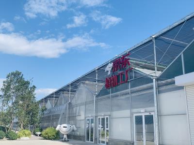 京东植物工厂