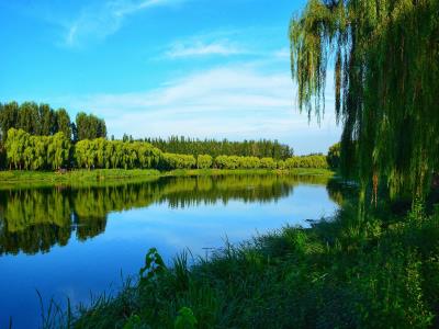 稻香湖自然湿地公园