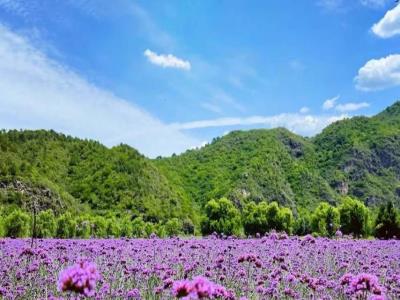 人间花海景区