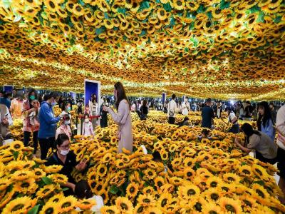 “梵高再现Van Gogh Alive”沉浸式光影展