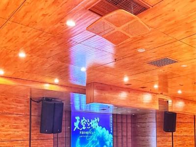 “天空之城”-久石让&宫崎骏动漫经典音乐作品演奏会