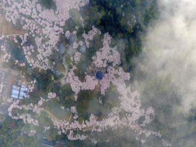 青龙湖公园