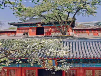 智化寺