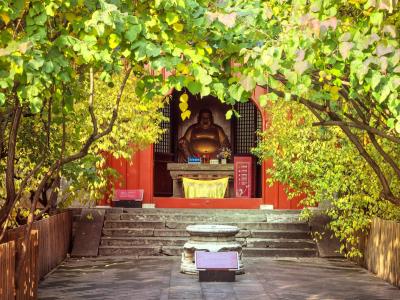大觉寺