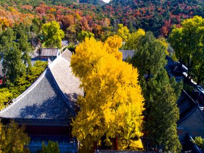 红螺寺