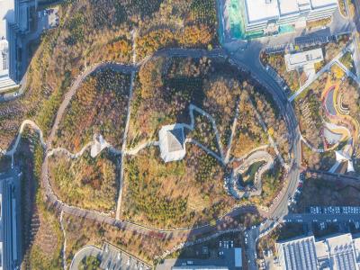 青龙山