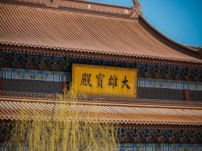 齐河县定慧寺