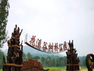 花溪谷树桥公园
