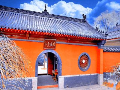 毗卢寺
