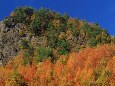 野三坡百草畔景区