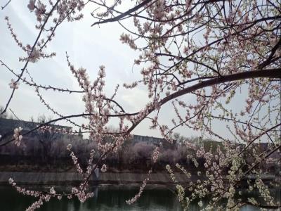 勤俭公园