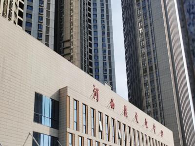 河西区文化中心