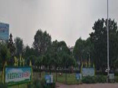 杨园子公园