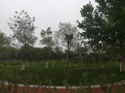 叶子公园