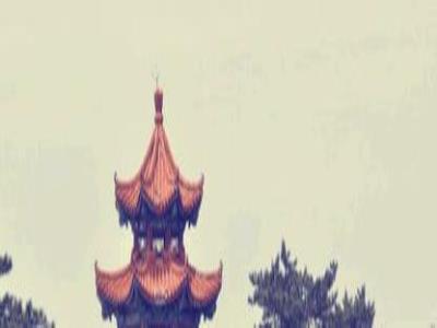 云楼梨影