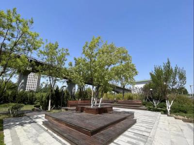 栈道公园
