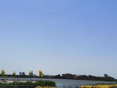 渤龙湖公园