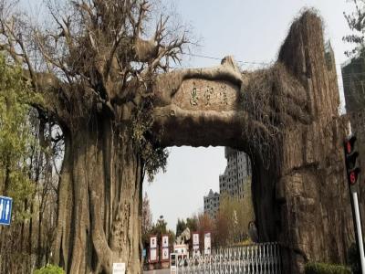 惠风溪景观河道公园