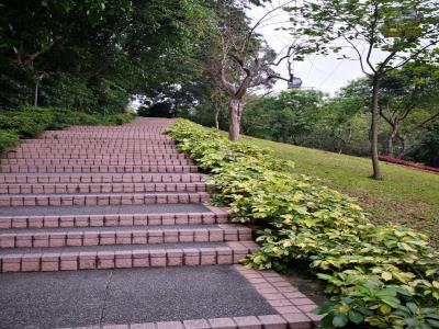 泰成公园