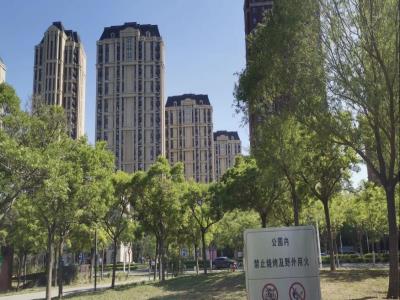 太湖路公园