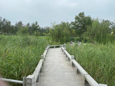 金水公园