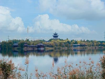 侯台湿地公园