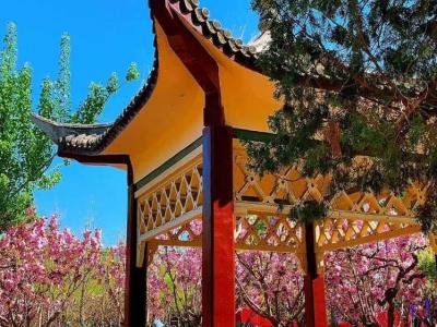 王串场公园