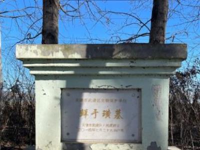 鲜于璜墓