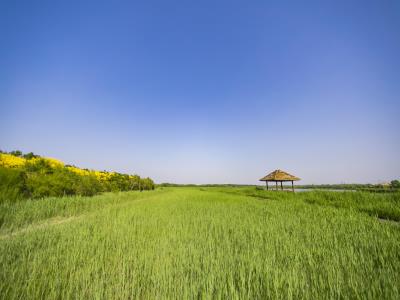 天津郊野公园