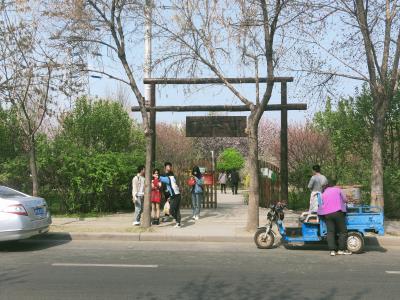 揽春园