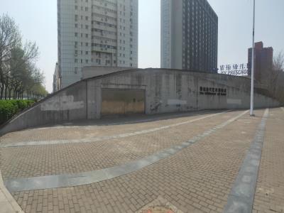 泰达当代艺术博物馆