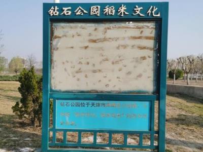 津南・小站钻石公园
