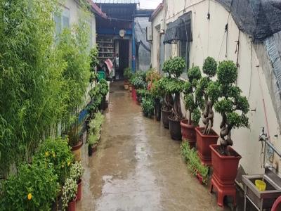 天津市宁河县蓝达花木场