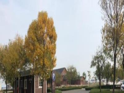 风行车思维车驾驶体验俱乐部东疆湾沙滩景区店