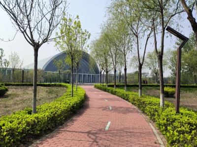 子牙河滨河公园