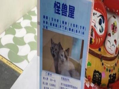 怪兽屋・羊驼・换装・撸狗