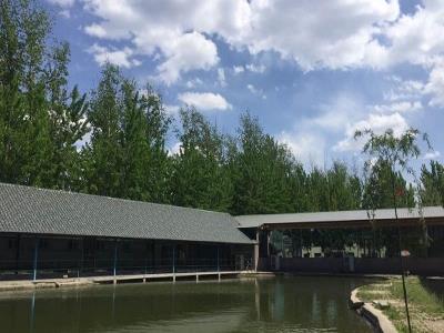 天津市龙源马术俱乐部