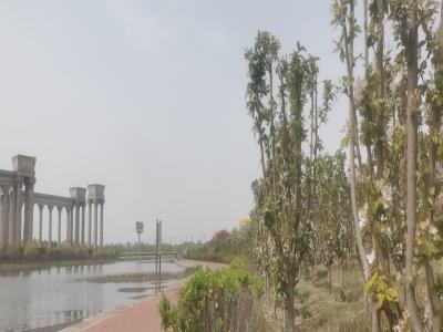 学府园