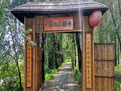 水稻文化园