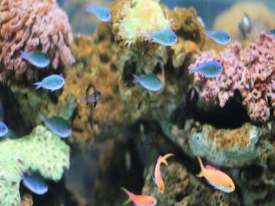 淘淘海洋体验馆
