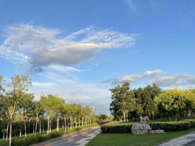 东丽湖生态体育公园
