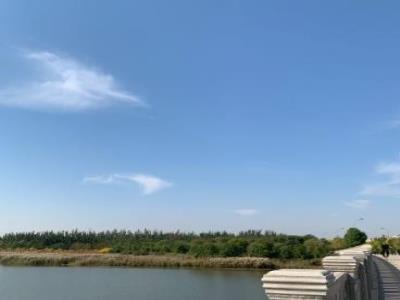 海河教育园区湿地公园