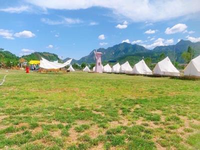 狂野拖拉机露营地