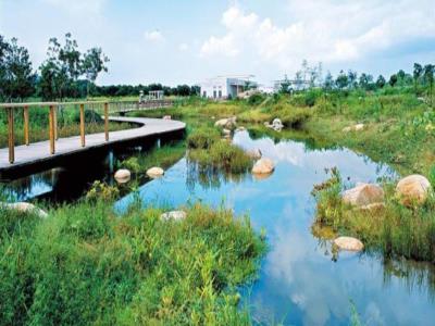大黄堡湿地自然保护区