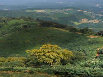 九龙山国家森林公园黄花山景区