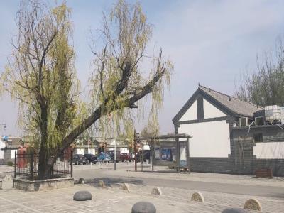 小辛码头村