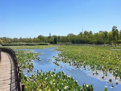 东丽湖自然艺苑景区