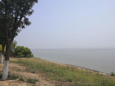 仁爱团泊湖湖岛郊野公园